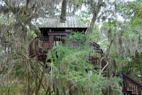 Offrir une cabane dans les arbres