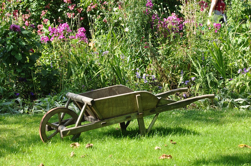 3 idées cadeaux à offrir à un proche fan de Nature