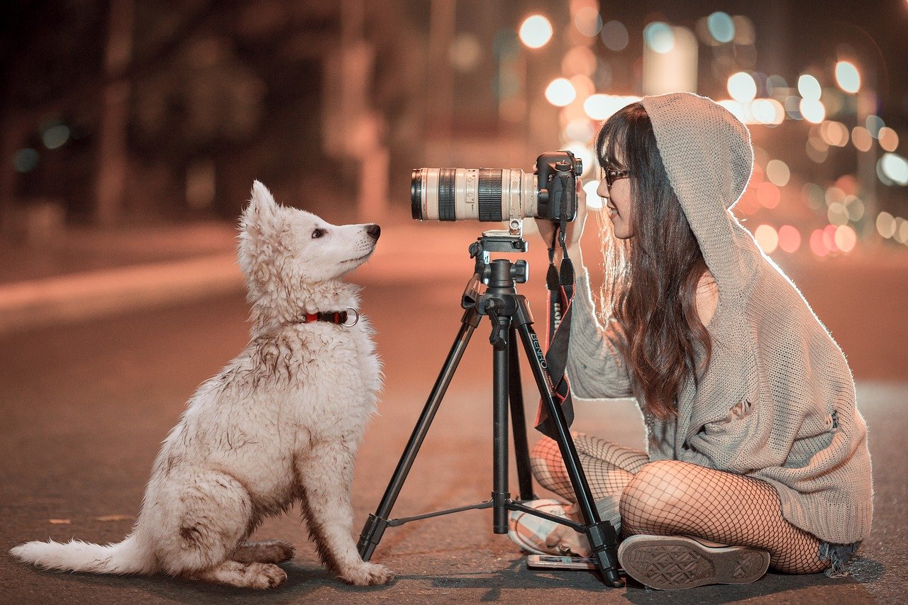 Idée cadeau : la panoplie complète du reporter photo animalier